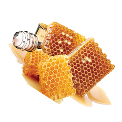 beeultrabottle